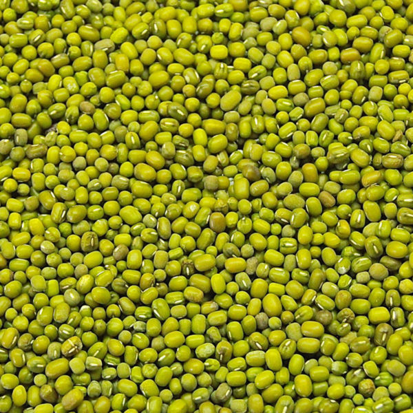 green-mung-beans